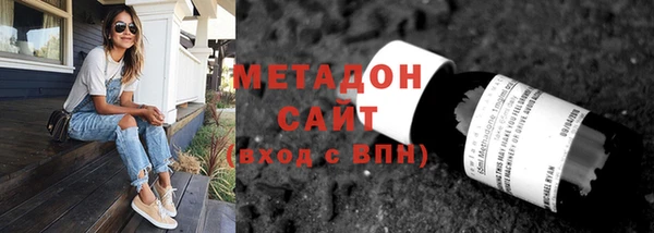прущие грибы Вяземский