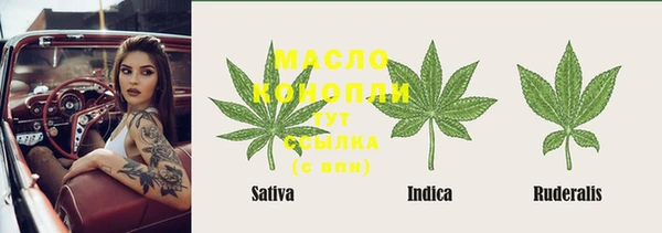 прущие грибы Вяземский