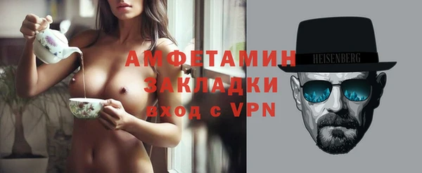 прущие грибы Вяземский