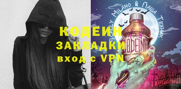 прущие грибы Вяземский