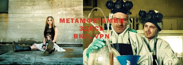 прущие грибы Вяземский