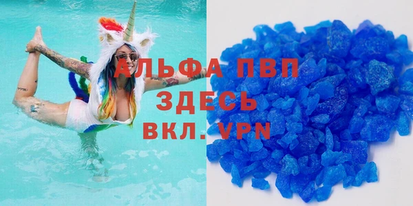 прущие грибы Вяземский