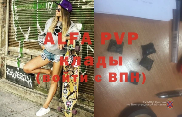 прущие грибы Вяземский