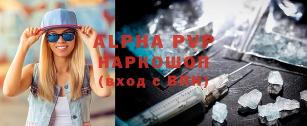 прущие грибы Вяземский