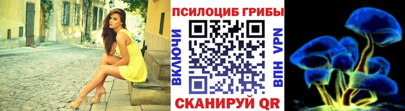 Псилоцибиновые грибы MAGIC MUSHROOMS  Камышин 