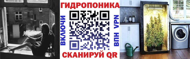 Бошки Шишки ГИДРОПОН  darknet Telegram  Камышин 